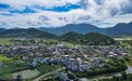 平凡的主播⑧丨五夫春春:95后的他,“裸辞”回村种荷花