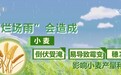 降雨天气对夏收有何影响?如何防范?分析↓