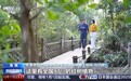 视频丨从“海上森林”到“海底花园” 看海南生态修复三重奏