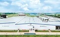 中国冰淇淋品牌“现身”海外市场—— 一口清凉 火遍多国