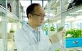《科学》公布2025年度十大突破,华中农大这一成果入选