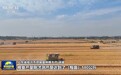 全国夏粮小麦收获进度过半 为全年丰产丰收打好基础