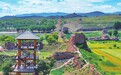 从荒山秃岭到塞上江南的美丽蝶变
