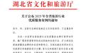 “文明游武汉 品质伴您行”入选省级十佳案例,绘就武汉志愿服务新图景