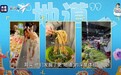 哪个地方暑期外国游客增长最快,第二个你绝对想不到!