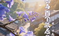 云南百个旅居目的地 开启精彩“五一”