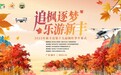 枫红漫舞,盛装启幕:2025年新丰县第十九届枫叶季隆重开幕