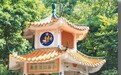 重洋难阻报国心(抗战烽火中的华侨华人)