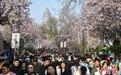 天津特色文旅燃动清明假期 719.52万人次共赴春约