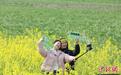 江西彭泽万亩油菜花绽放 吸引游客共赴春天之约