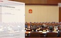 新闻周刊丨创下多个第一 民营经济促进法让民营企业吃下“定心丸”