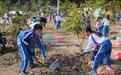 广东三年开展义务植树活动超7万场 参与者超522万人次