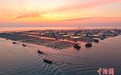 山东烟台:海洋牧场冬耕忙