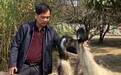 【高质量发展看中国】打通鸸鹋全产业链,发展现代农业助乡村振兴