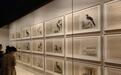 《写生珍禽图》领衔 一波大展“五一”来袭