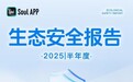 Soul APP CEO张璐团队发布2025安全半年报,多维度治理网络生态环境