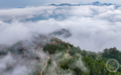 云海丹青绘茶山