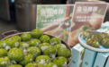 茉莉轻芽、红烩牛腩……青团口味上新,你会尝鲜吗