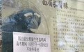辽宁一动物园白眉长臂猿猴高考期间不对外展出,园方:它们一高兴就喜欢鸣叫,怕影响考试