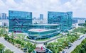 水羊股份2025半年度业绩亮眼,“高端化、全球化”发展战略初显成效