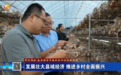 甘肃:发展壮大县域经济 推进乡村全面振兴