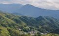 航拍國家森林公園江西武功山 林海茫茫滿山翠綠生態美（圖）