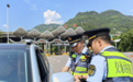 被吊销驾驶证还敢接游客 多起涉旅游高危“黑车”被查处