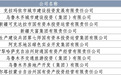 《新疆维吾尔自治区地方政府投融资平台转型发展报告(2025)》正式发布