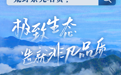 多彩海报丨荒野茶为啥“一叶千金” 来“浙”里找答案