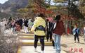 宁夏首家外骨骼智能登山机器人落地贺兰山