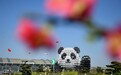 四川成都:在双流机场邂逅浪漫春光