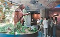 台胞青年千人夏令营总营走进广东——“更好地体验大陆发展的美好前景”