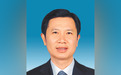 江凌、陈星当选河南省人大常委会副主任