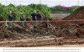 【胡塞武装导弹袭击特拉维夫机场 多家航空公司暂停航班 以方誓言加倍奉