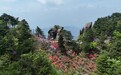 安徽九华山:“天街花市”惹人醉
