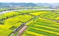 美丽中国丨重庆潼南:以花为媒 促农文旅融合发展