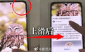 【荣耀回应「魔法画报耽误拨打 120」争议:发帖与事实不符,不予追究