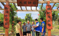 江苏以文化赋能经济社会发展,推动“软实力”不断转化为“硬实力”