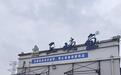 实探“用麻药让活鱼休眠”的重庆乐邦水产市场:商家称不知对人体是否有害