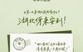 5天卖出4万杯!恩施玉露“泡”成湖北秋日顶流