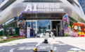 全球首店!上海开出线下AI应用商店:500+款最新科技产品集中亮相