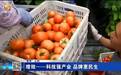 【“寒旱”之约】增效——科技强产业 品牌惠民生