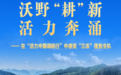 在“活力中国调研行”中感受“三农”蓬勃生机