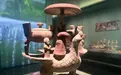 一只“长寿鸟”,诉说千年敬老