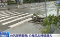 台风“沙德尔”即将登陆,浙江宁波、玉环均已进入十级风圈