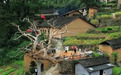 解“码”国庆丨在“浙”拥抱自然 “原生旅游”更带感
