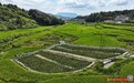 从“稻花香”到“蛙声起” 桂阳县打造生态农业新样板