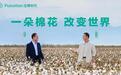 和尼格买提走进棉田,看一朵棉花改变世界