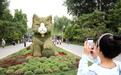 北京“草猫”刷屏,网友:看完心情软软的,我们找设计师聊了聊
