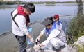 团城湖:筑牢北京水源生态防线(1)